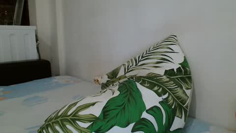 Angela online show from February 19, 12:57 am