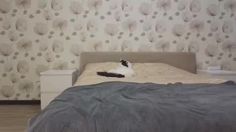 Snapshot of annabel_themoon chatting on October 13, 5:09 am annabel_themoon online show from October 13, 5:09 am