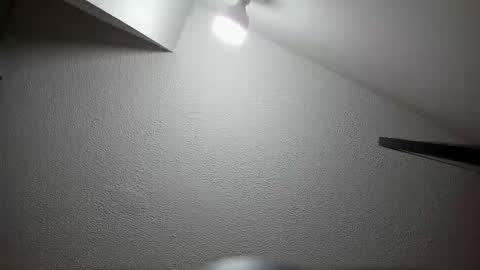 Annie And Leandro online show from January 11, 8:15 pm