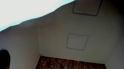 ANTON online show from March 23, 11:37 am