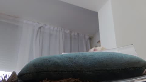 Anna online show from January 20, 10:07 am