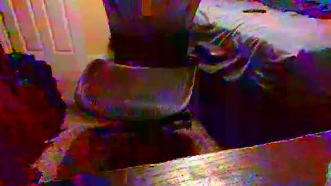 antiboys online show from January 16, 5:49 am