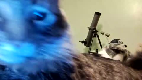 Aphrodite60 online show from January 12, 6:28 am