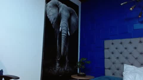 Apolo online show from February 14, 6:56 am