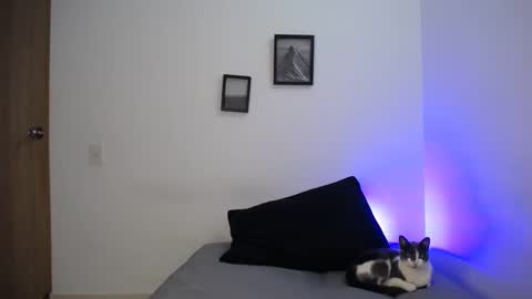  777 online show from December 19, 5:40 am