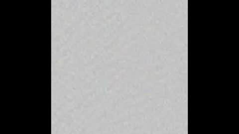 Arianna Collins online show from October 6, 11:50 am