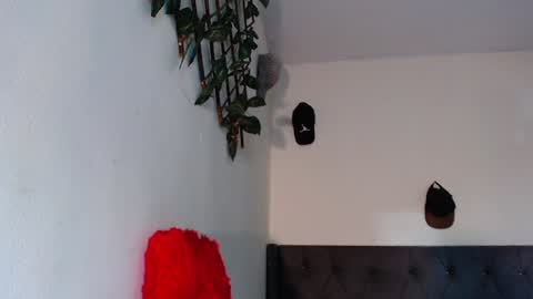 Snapshot of arielbronwxxx chatting on January 29, 7:11 pm chris online show from January 29, 7:11 pm