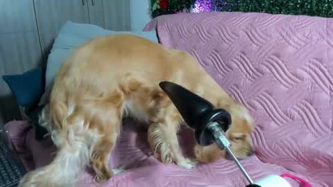 Atalaya  - Jack online show from September 26, 5:48 am