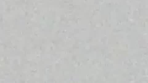 Carolina online show from July 23, 12:25 pm