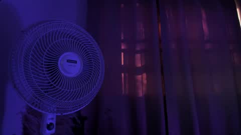 ...  ... online show from April 17, 9:50 pm