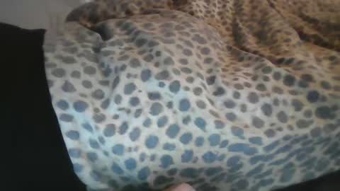 Aussiecockpumper76 online show from March 4, 5:21 am