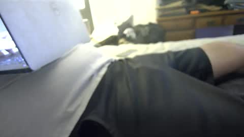 average_stag online show from January 7, 3:22 am