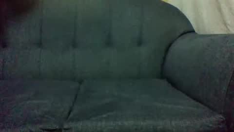 needoh online show from February 22, 12:19 pm