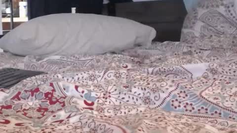 baker305 online show from September 29, 4:11 am