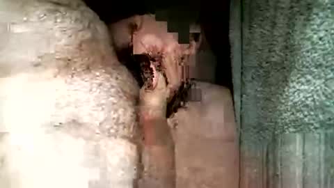 Snapshot of balthazar7676 chatting on October 29, 8:31 pm balthazar7676 online show from October 29, 8:31 pm