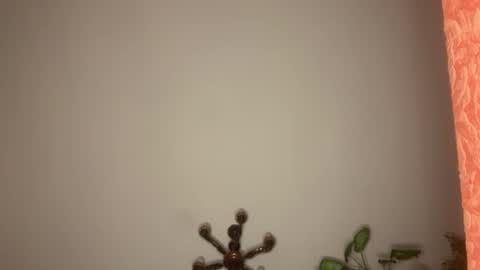 bambratishka online show from December 13, 11:44 pm