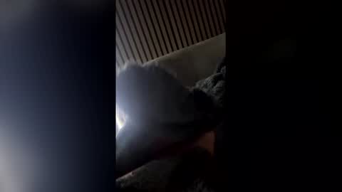 baransucin19 online show from February 6, 12:47 am