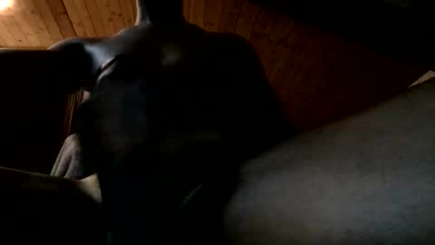 Ferdinandooo online show from June 2, 9:39 pm