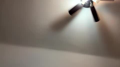 bbet349451 online show from February 19, 3:38 am