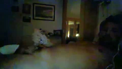 bearboudior online show from January 14, 12:22 am