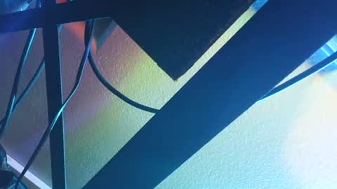 beaudawg23695196 online show from May 28, 2:09 am