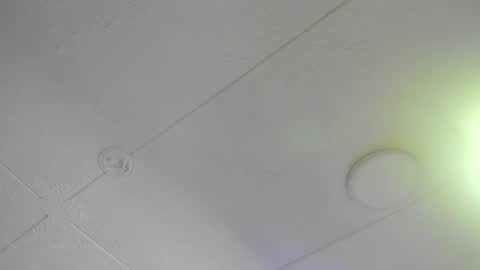  Bella  online show from December 1, 7:34 pm