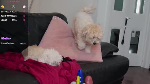 Snapshot of bellebabyboo chatting on September 20, 3:31 am BELLE online show from September 20, 3:31 am