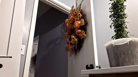 Snapshot of bennyc04041987 chatting on October 22, 5:21 am BennyC online show from October 22, 5:21 am
