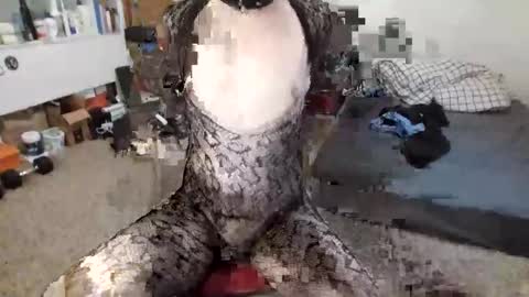 betafgk00 online show from May 15, 1:25 am