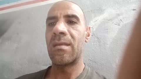 Cock arabic Authentic online show from June 4, 12:00 pm