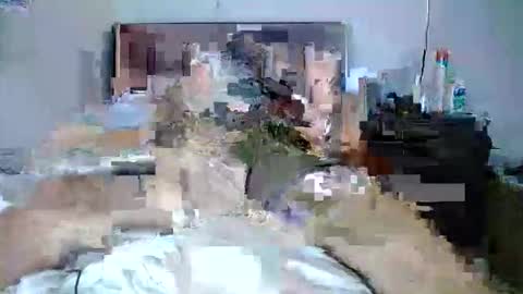 bigbosscol online show from November 27, 7:16 am