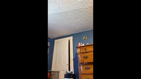 bigddrif online show from April 22, 8:16 pm