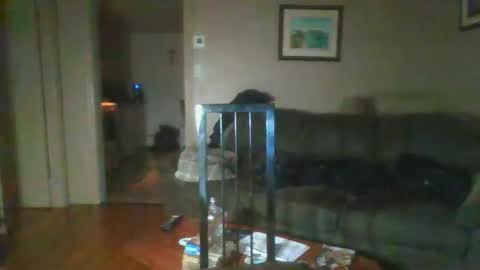 bigdeer581917471 online show from February 1, 8:08 am