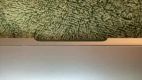 bignastydaddy204 online show from February 27, 8:29 am