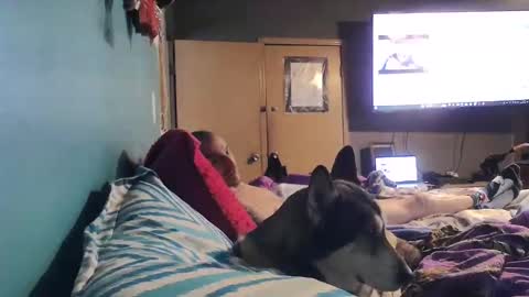 bigtomcat45 online show from December 24, 6:17 pm