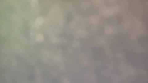 biguywithtoys online show from February 26, 5:16 pm