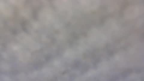 billmenow141 online show from February 11, 10:03 am