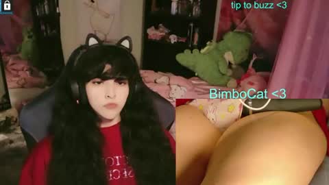BimboCat online show from June 13, 10:09 pm