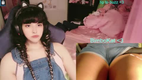 BimboCat online show from July 31, 10:22 pm