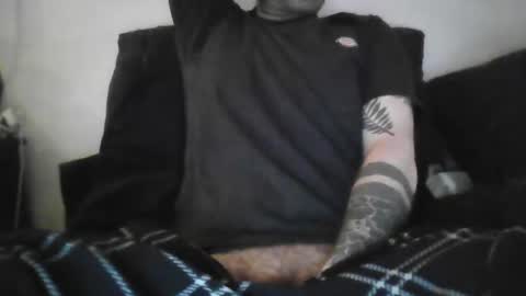 bird_0f_hermes online show from January 15, 11:46 pm