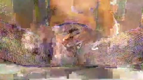 blackbigdickfr online show from December 20, 12:34 pm