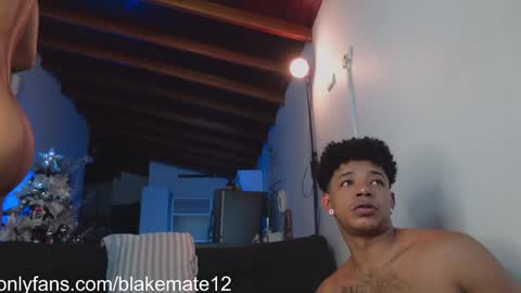 Snapshot of blakemate chatting on December 7, 5:32 am BLAKE BART Help us reach 100 likes online show from December 7, 5:32 am