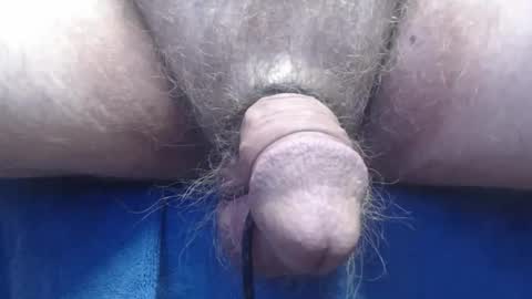 bluebee420 online show from November 5, 9:11 am