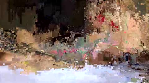 bmia98 online show from November 14, 11:23 am