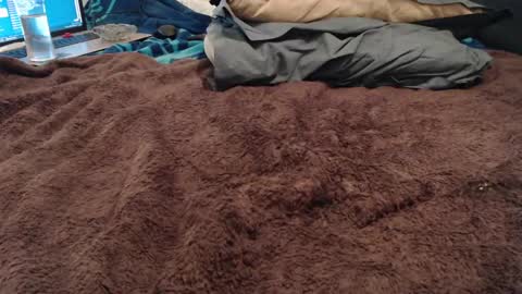 BoldPleasure online show from December 13, 7:10 pm