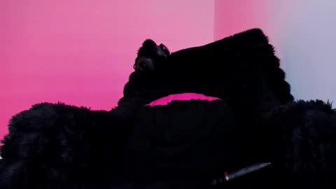 Bonnie Help me reach 500 likes online show from January 10, 8:36 pm