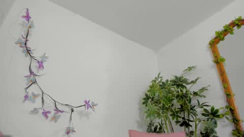   online show from February 1, 12:52 am