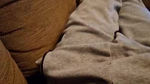 Snapshot of bonny8723 chatting on December 22, 7:42 pm bonny8723 online show from December 22, 7:42 pm