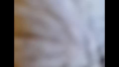 Snapshot of bonop1 chatting on January 1, 1:59 pm bonop1 online show from January 1, 1:59 pm
