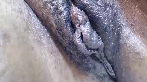 Snapshot of bootybounce4 chatting on December 9, 12:34 am bootybounce4 online show from December 9, 12:34 am